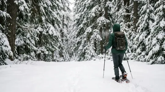 A lone snowshoer walking into a quiet, snow-covered forest clearing without any ski equipment visible